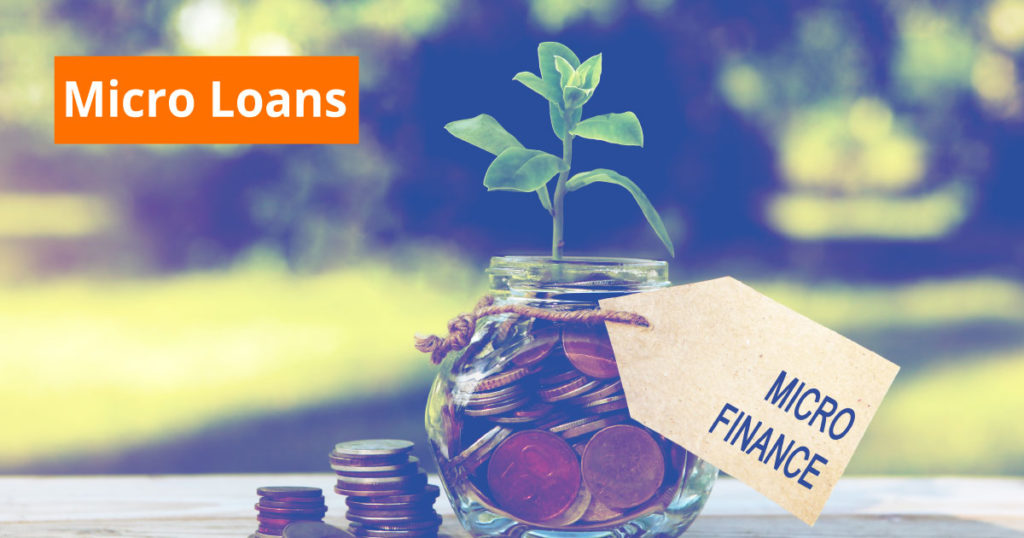 Micro Loans