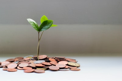 Micro Loans